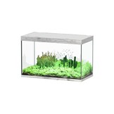 Sublime 120x60 aquarium