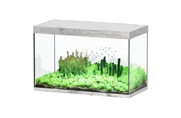 Sublime 120x60 aquarium