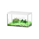 Sublime 120x60 aquarium