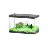 Sublime 120x60 aquarium