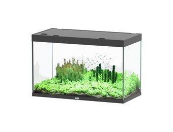 Sublime 120x60 aquarium