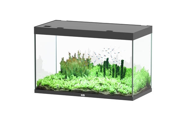 Sublime 120x60 aquarium
