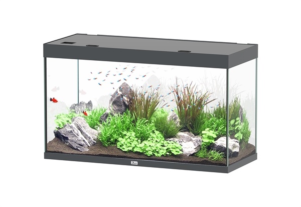 Sublime 120x50 aquarium