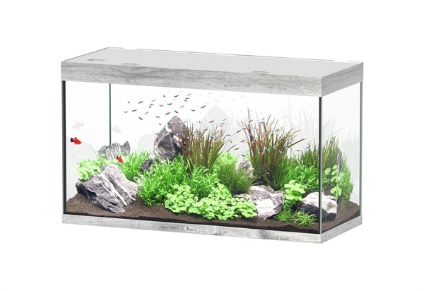 Sublime 120x50 aquarium