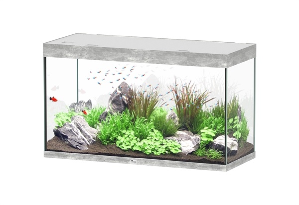 Sublime 120x50 aquarium