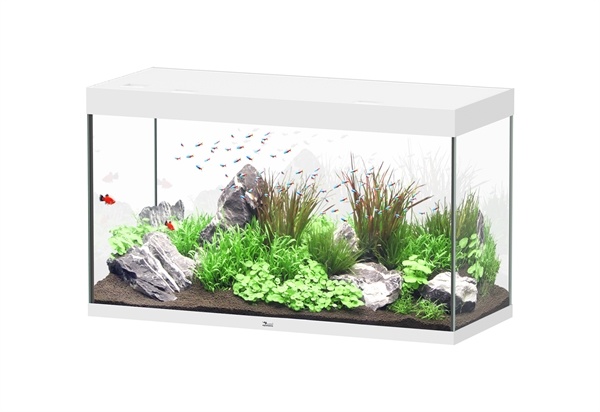 Sublime 120x50 aquarium