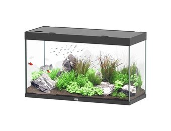 Sublime 120x50 aquarium