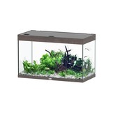 Sublime 100x50 aquarium