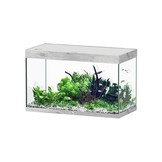 Sublime 100x50 aquarium