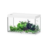 Sublime 100x50 aquarium