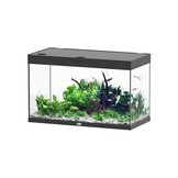 Sublime 100x50 aquarium