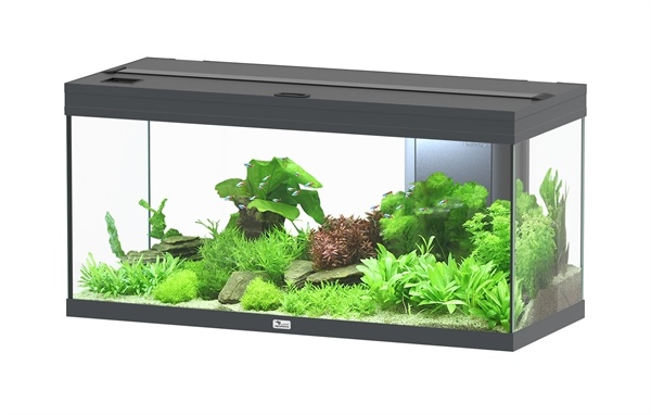 Volga 180 aquarium