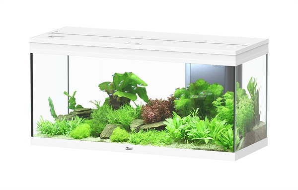 Volga 180 aquarium