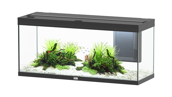 Volga 240 aquarium