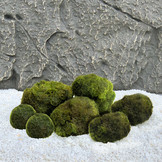 Mosbol Combinatie set 7st