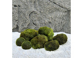 Mosbol Combinatie set 7st