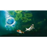 AquaActiv DuoBoost 250ml 5 cm