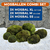 Mosbol Combinatie set 7st