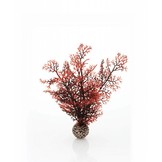 Sea fan crimson small 20cm