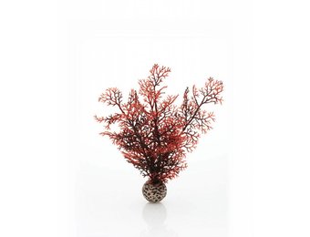 Sea fan crimson small 20cm