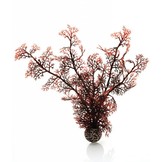Sea fan crimson medium 30cm