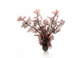 Sea fan crimson medium 30cm
