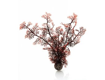 Sea fan crimson medium 30cm