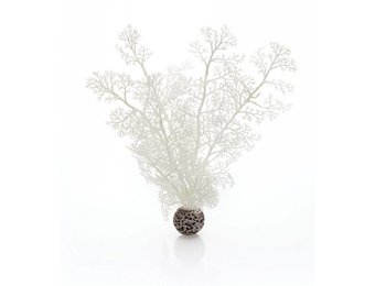 Sea fan white medium 30cm