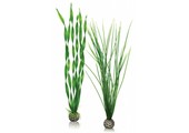 Easy plants 2x large groen