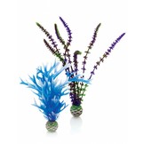Easy plants 2x medium blue/purple