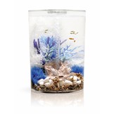 Easy plants 2x medium blue/purple