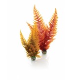 Easy plants 2x medium herfst varen