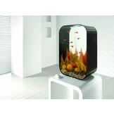 Easy plants 2x medium herfst varen