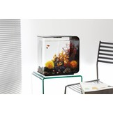 Kleurbal groot oranje