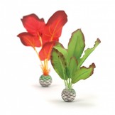 Zijde plant 2x kort rood/groen