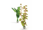 Zijde plant 2x medium groen/groen