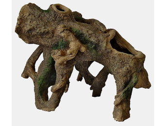 Staande wortel Medium