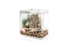 Forest Rythym decor set