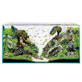 ScaperLine 100 Aquarium
