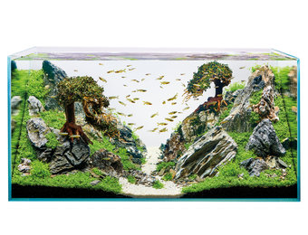 ScaperLine 100 Aquarium