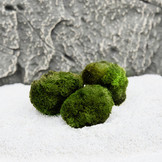 Doe-het-zelf Decoratie set Hout