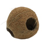 Cocos Cava 1/1 Medium