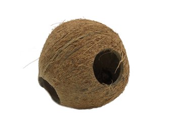 Cocos Cava 1/1 Medium