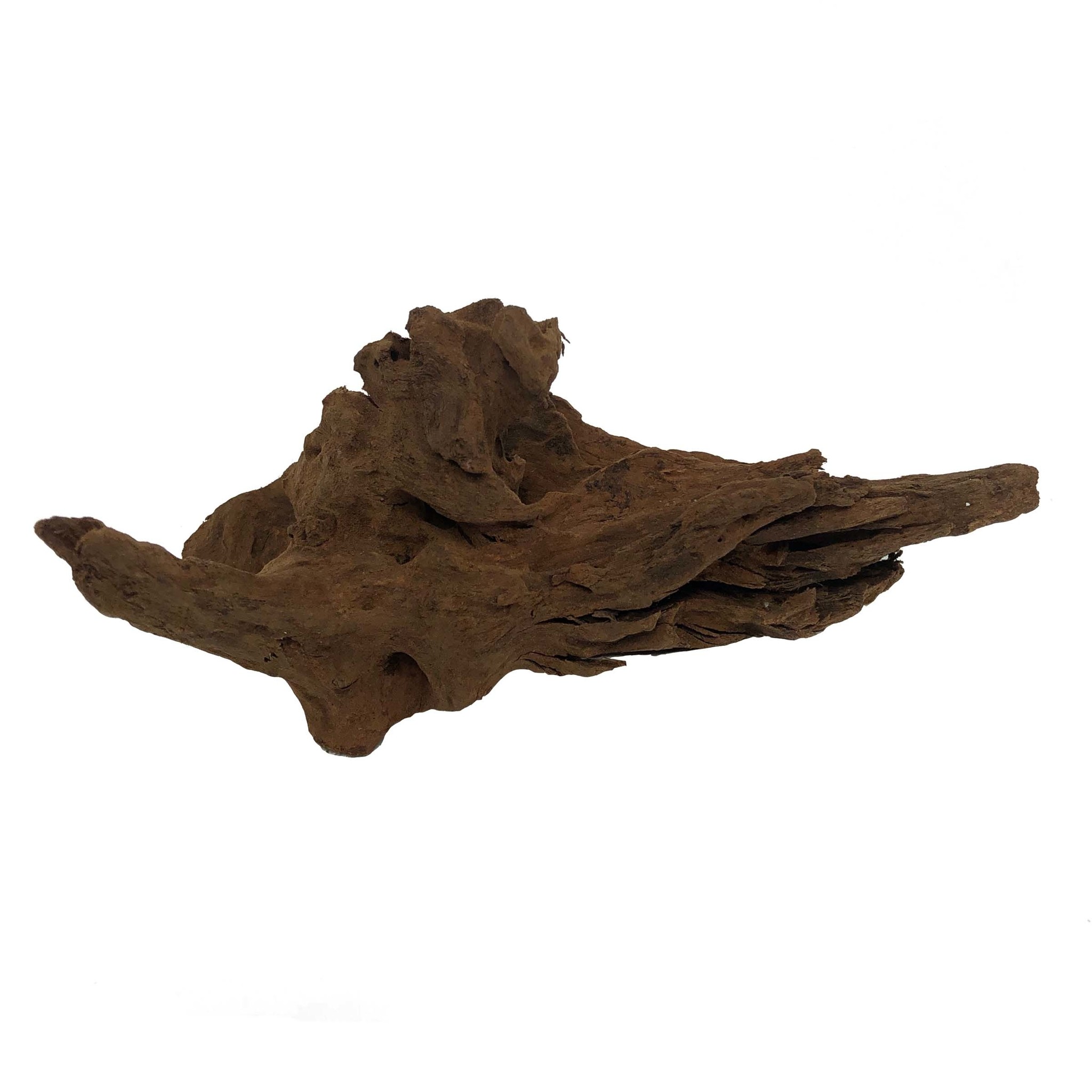 Driftwood XS 12-18cm