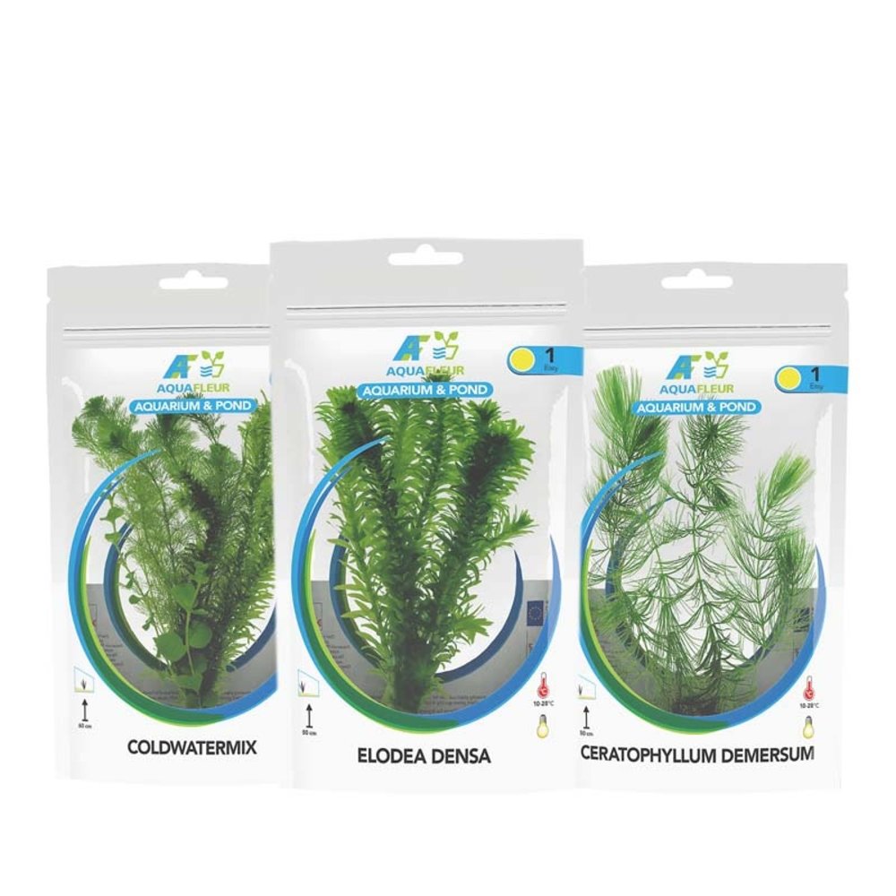 Waterplant Koudwaterplanten in pakket | Plant -