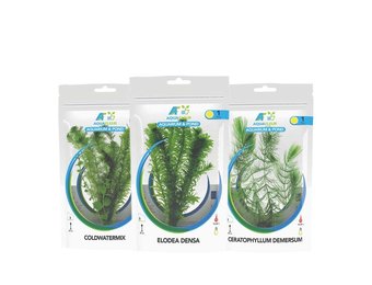 Koudwaterplanten in zak pakket