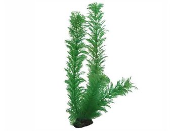 Plant Egeria 34cm