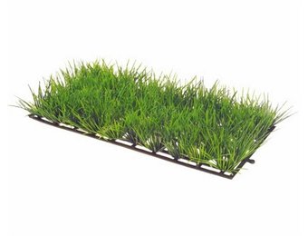 Plant Mat 1