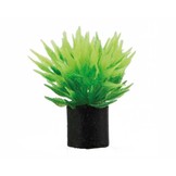 Plant Ultricularia Mini 3cm 5st