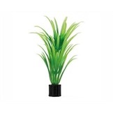 Plant Tenellus Mini 7cm 5st